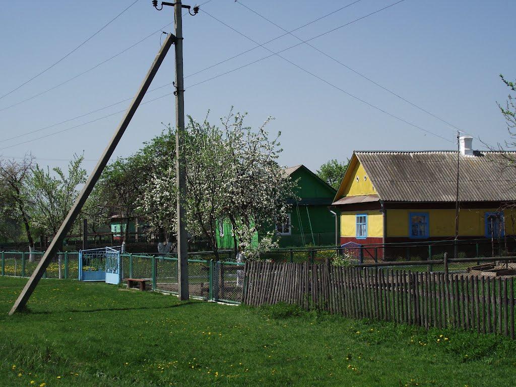 Соломка з panoramio.com - Соломка