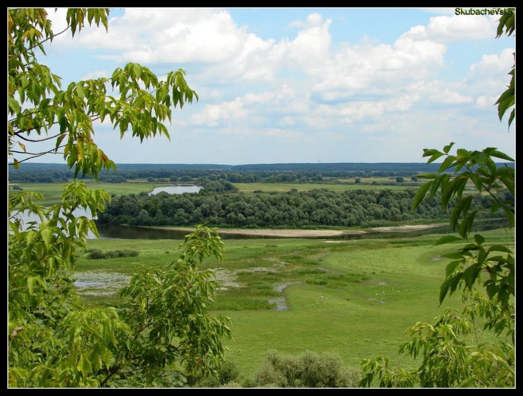 Мезин з panoramio.com - Мезин