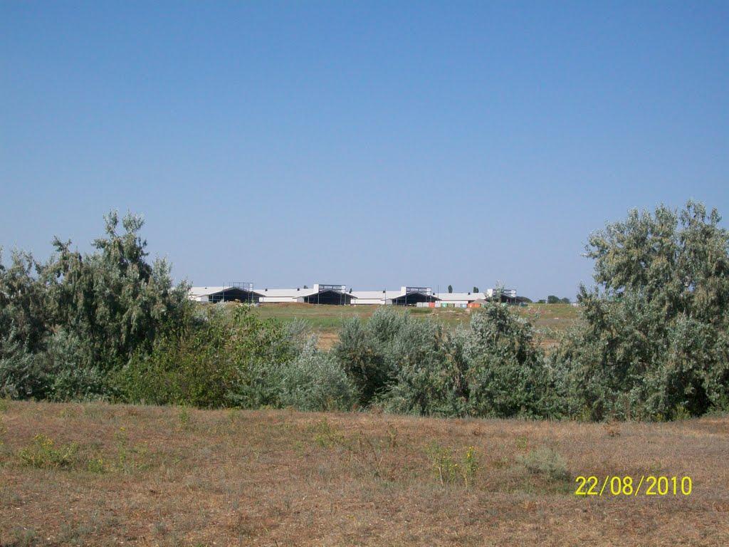 Східне з panoramio.com - Східне