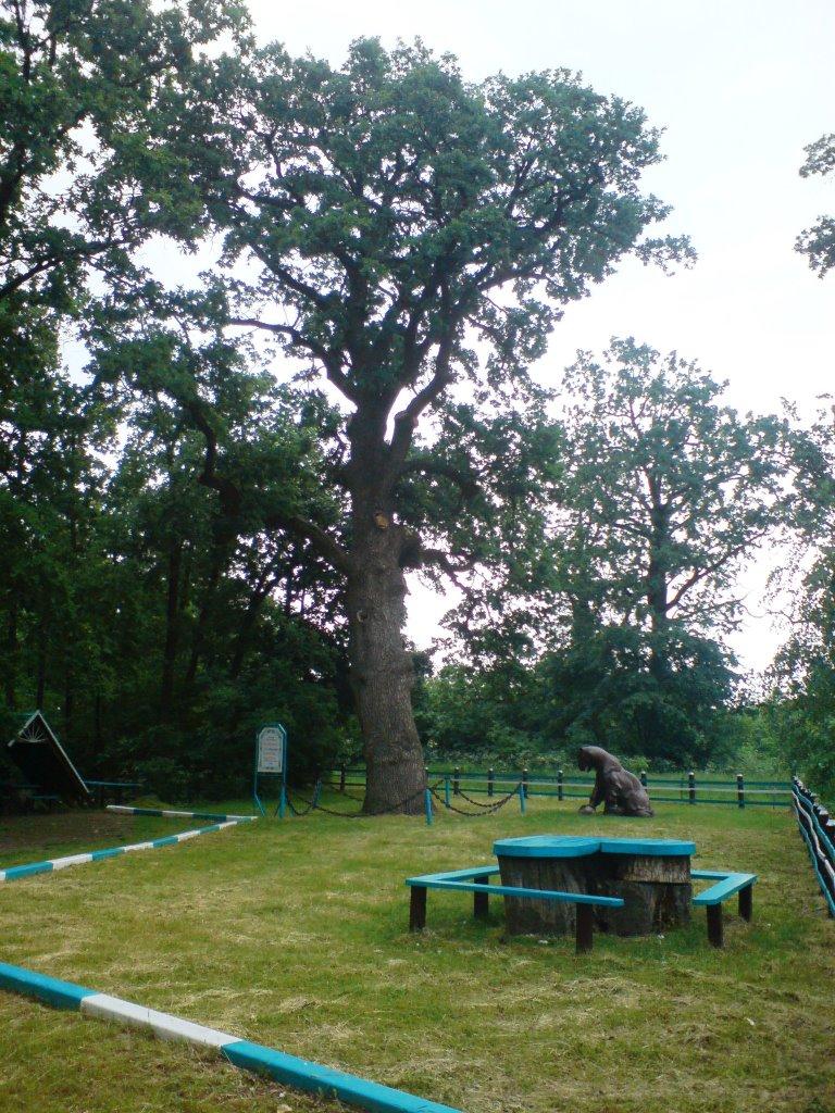 Слюсареве з panoramio.com - Слюсареве