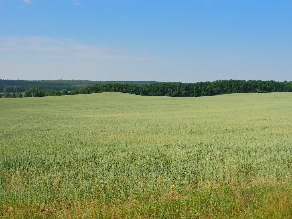 Лубське з panoramio.com - Лубское