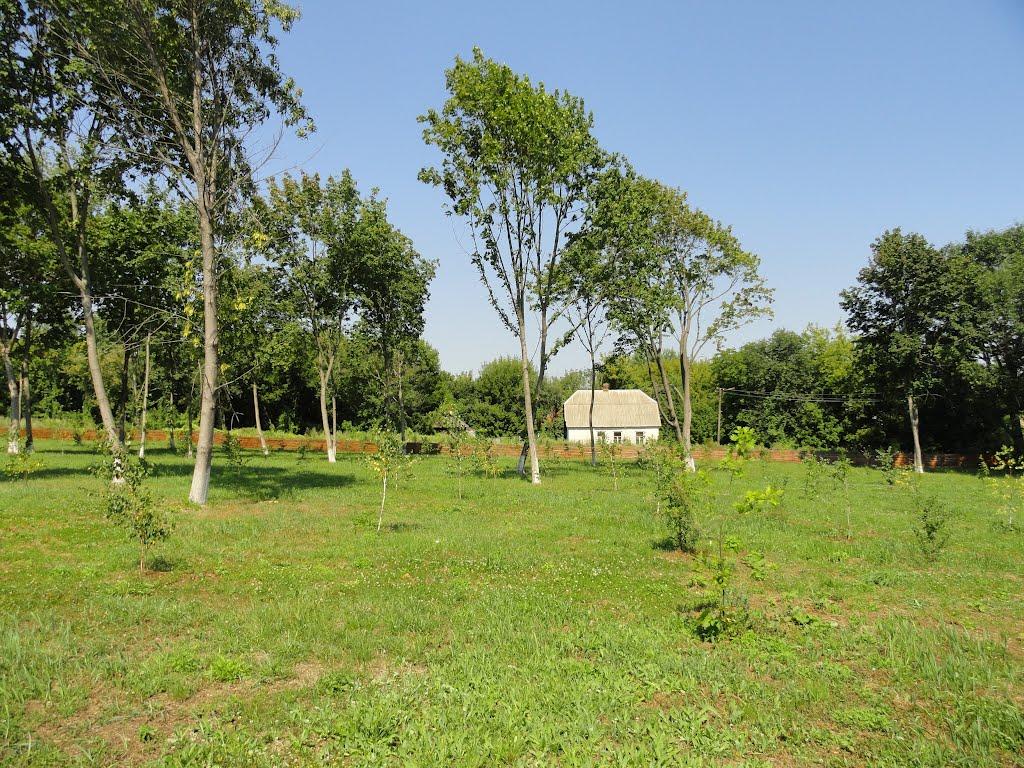 Чорнобиль з panoramio.com (ч.2) - Чернобыль