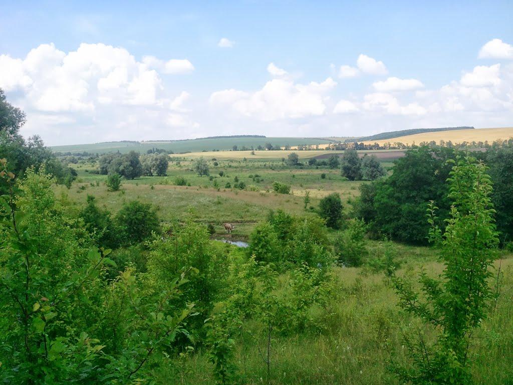 Новоукраїнка з panoramio.com - Новоукраїнка