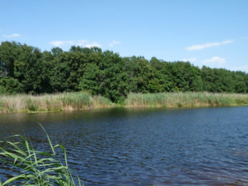 Куликове з panoramio.com - Куликове