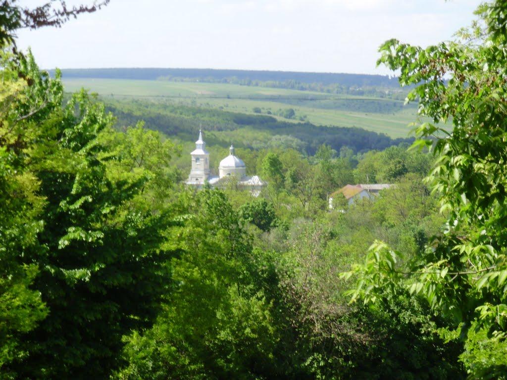 Вінож з panoramio.com - Вінож