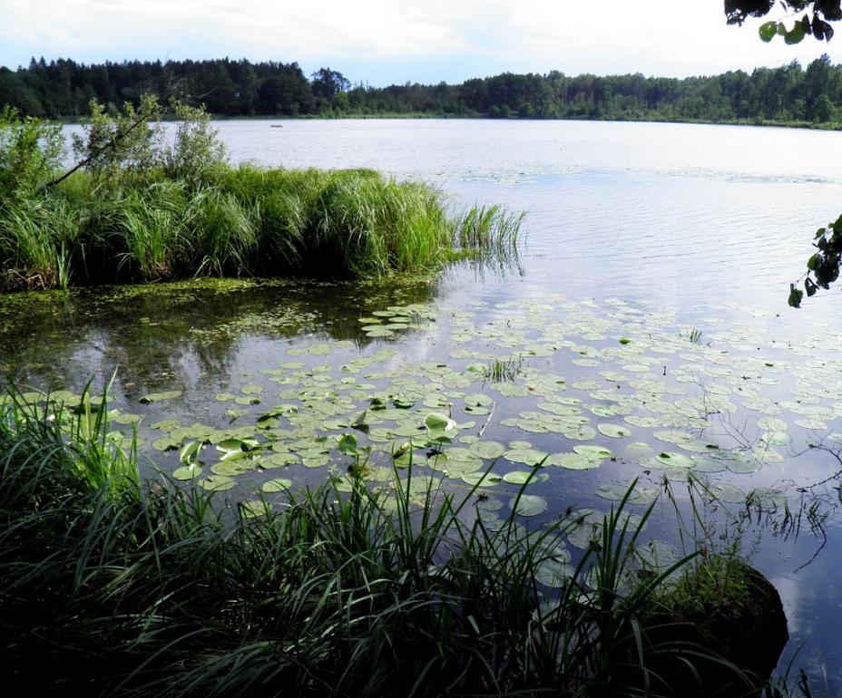 Городок з panoramio.com - Городок