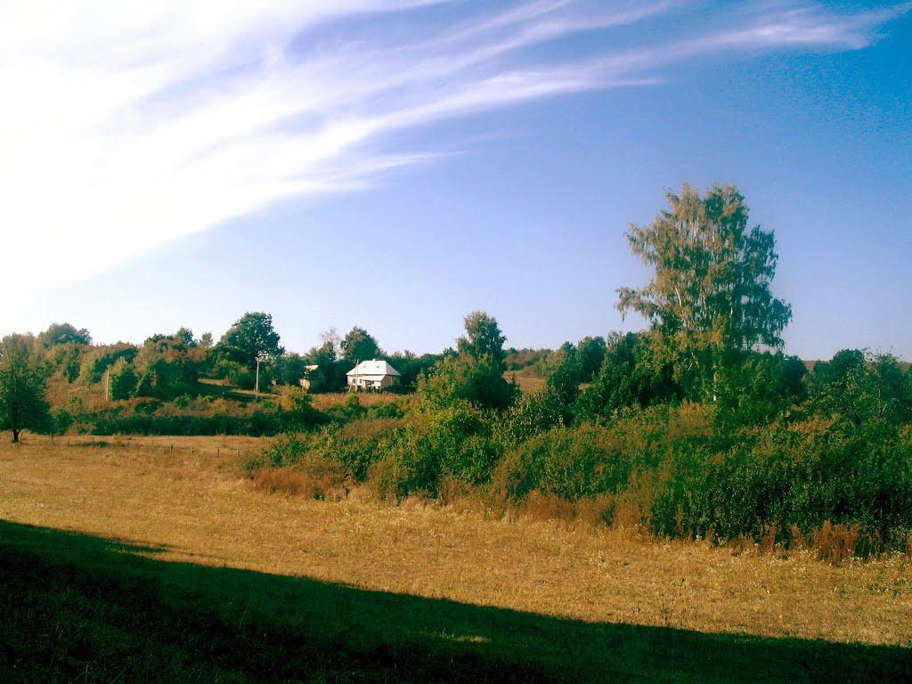 Храпачів Яр з panoramio.com - Храпачев Яр