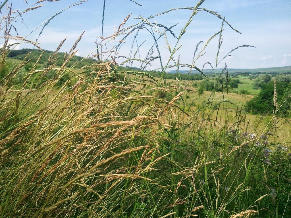 Новоукраїнка з panoramio.com - Новоукраїнка