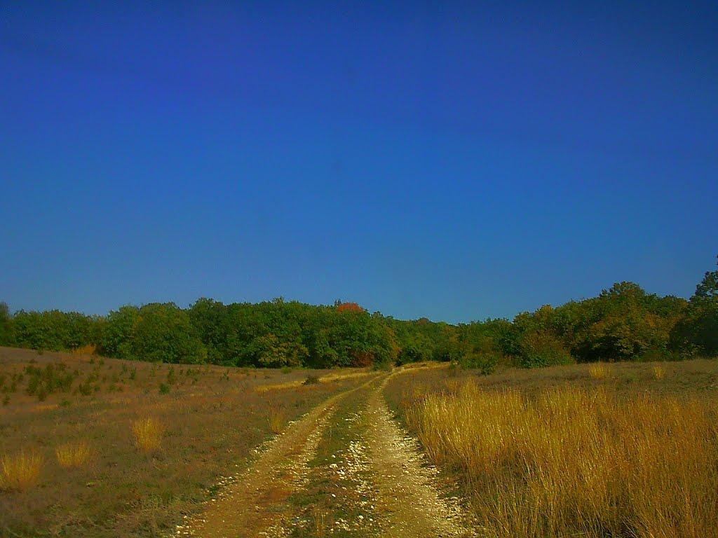 Верхоріччя з panoramio.com - Верхоречье