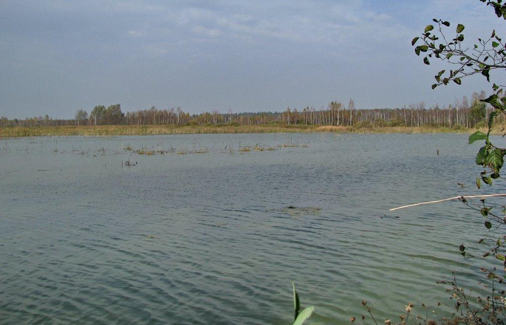 Ірдинь з panoramio.com - Ирдынь