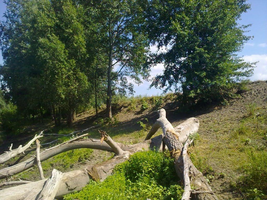 Юрки з panoramio.com - Юрки