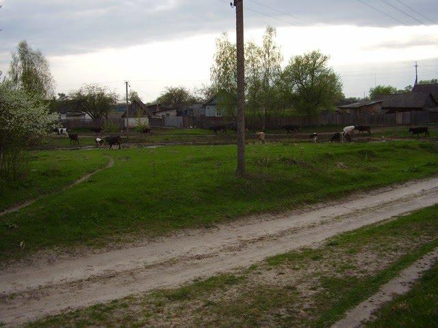 Зноб-Трубчевська з panoramio.com - Знобь-Трубчевская