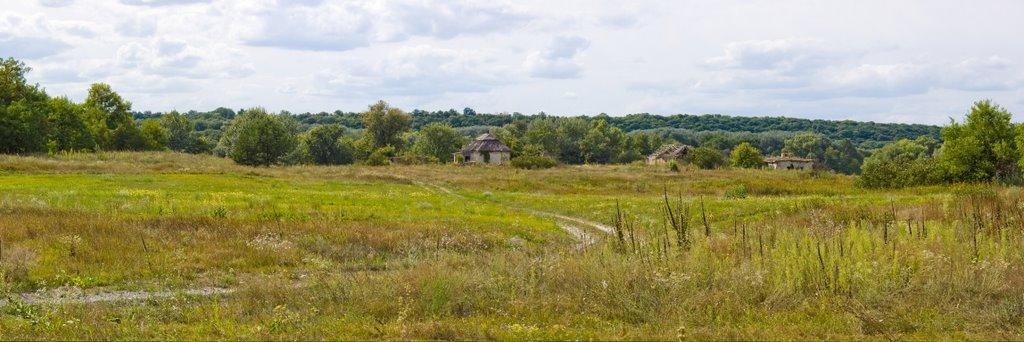 Плавні з panoramio.com - Плавни