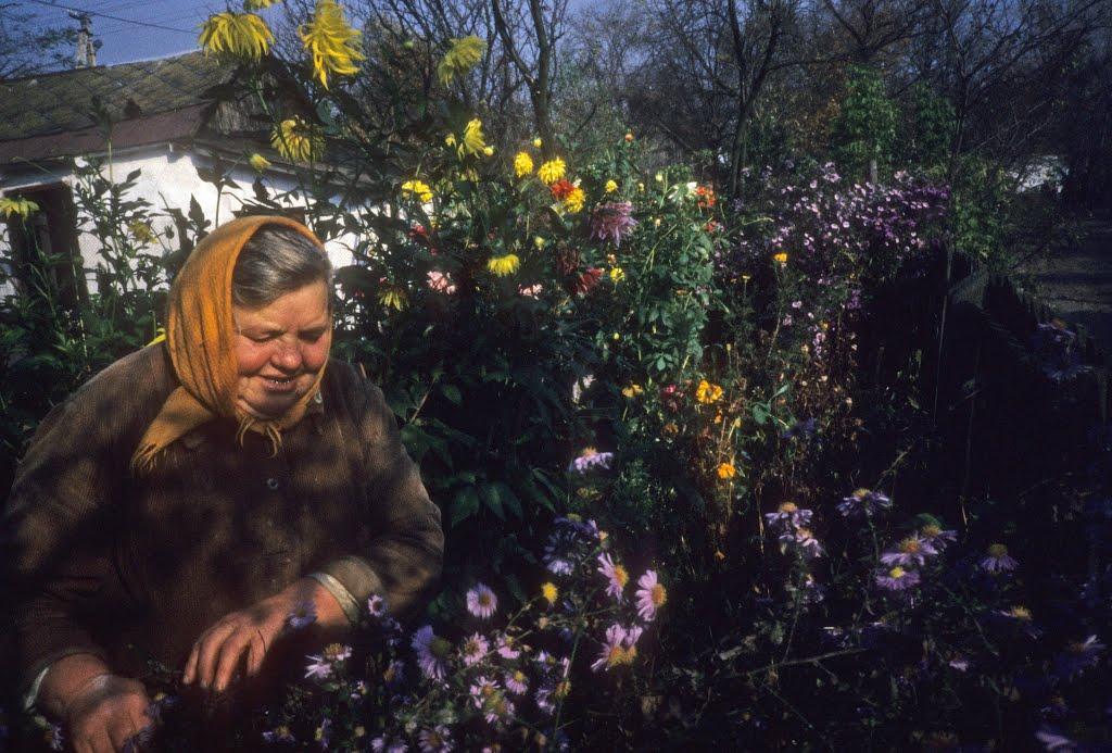Сербинівка з panoramio.com