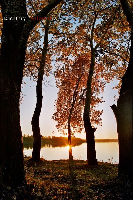 Олександрівка з panoramio.com - Oleksandrivka