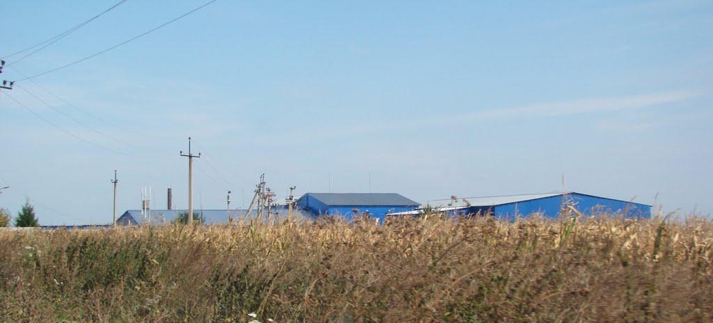 Тимошівка з panoramio.com - Тимошовка