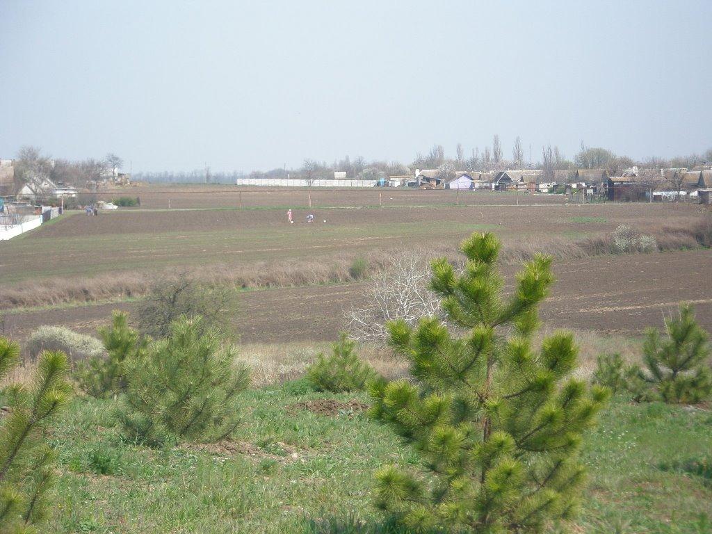 Бойове з panoramio.com - Бойове