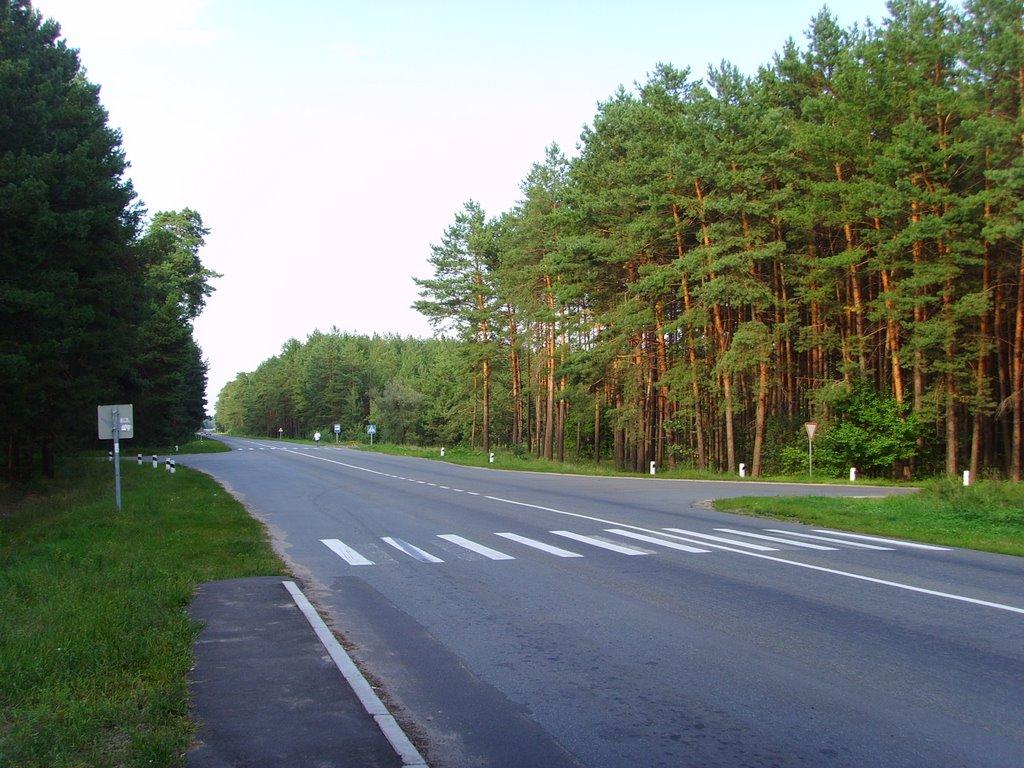 Новосілки з panoramio.com - Новоселки