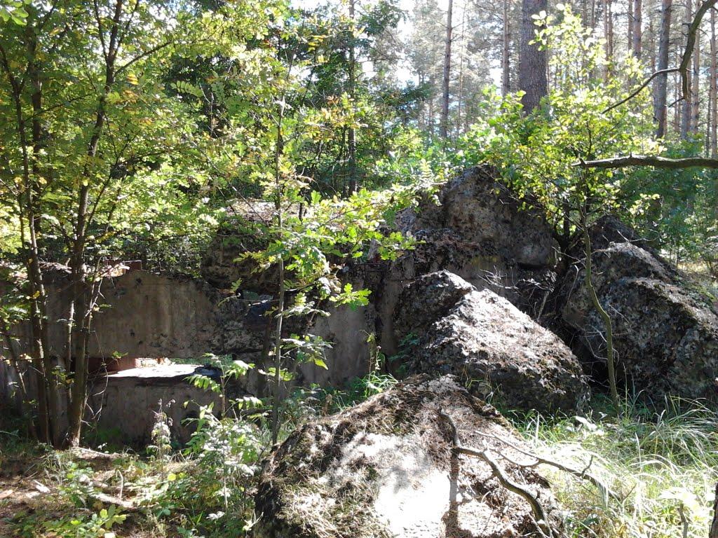 Гута-Межигірська з panoramio.com - Гута-Межигірська