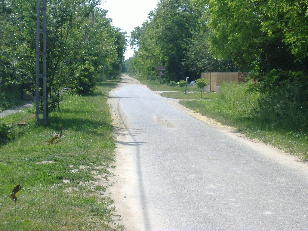 Велика Паладь з panoramio.com - Великая Паладь