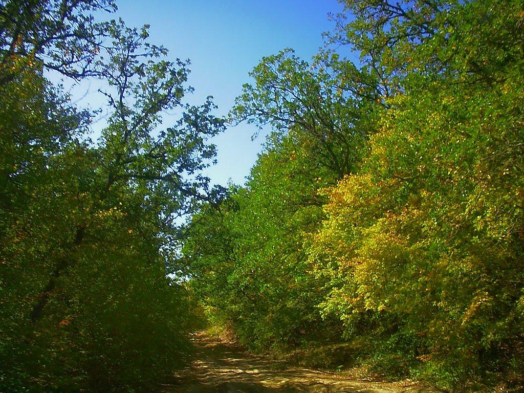 Верхоріччя з panoramio.com - Верхоречье