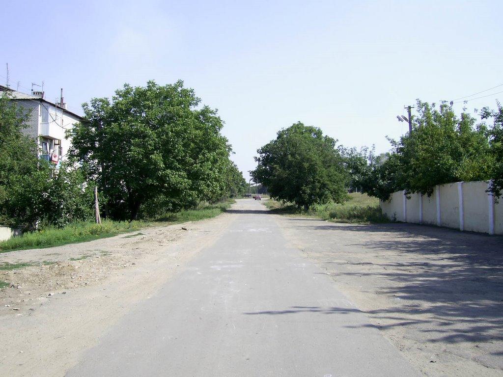 Борщі з panoramio.com - Борщи