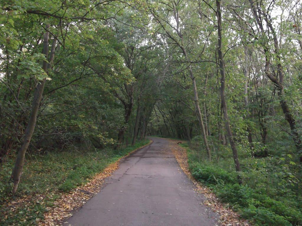 Орлівщина з panoramio.com - Орловщина