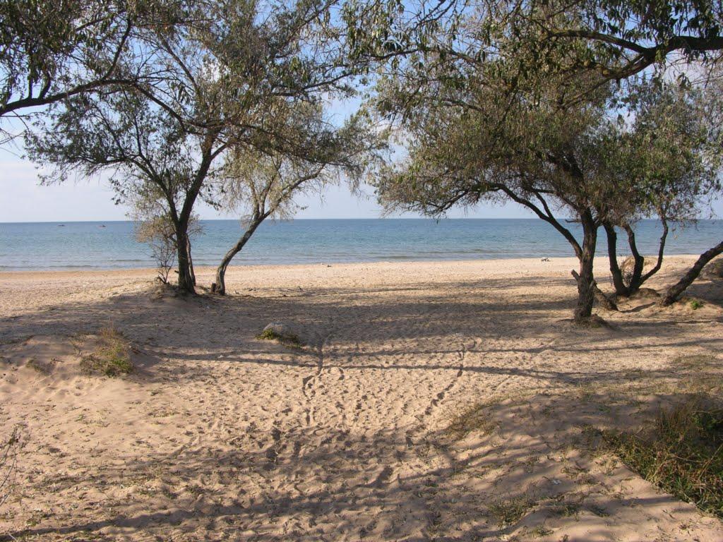 Щолкіне з panoramio.com - Щолкіне