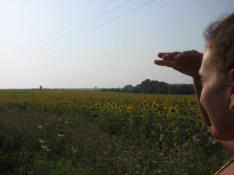 Ладижинка з panoramio.com - Ладижинка