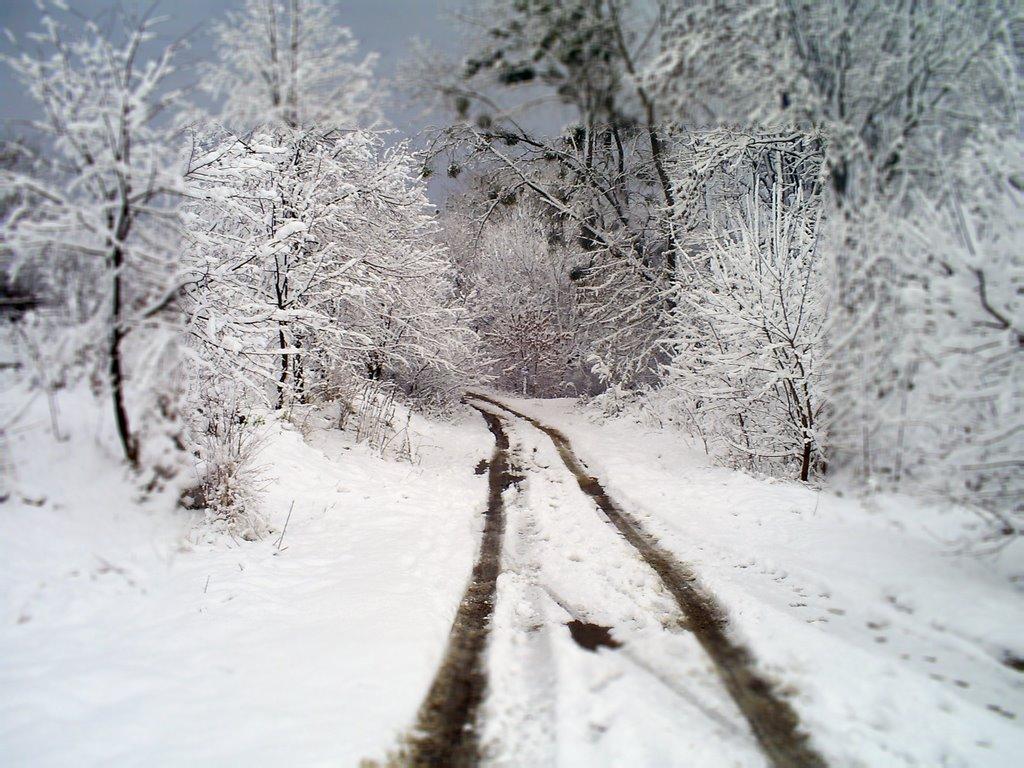 Новоугрузьке з panoramio.com - Novougruzke