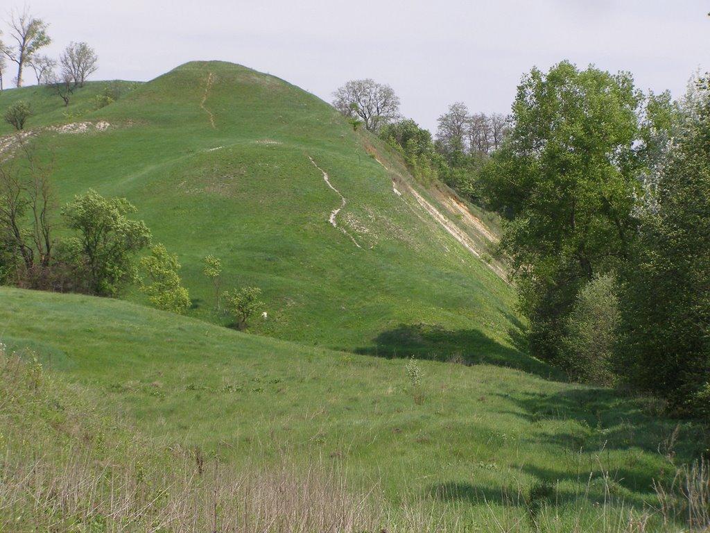 Могриця з panoramio.com - Mogrytsya