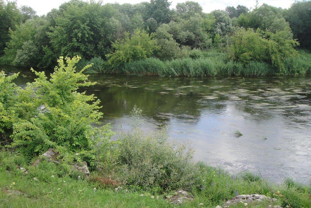 Устя з panoramio.com - Устя