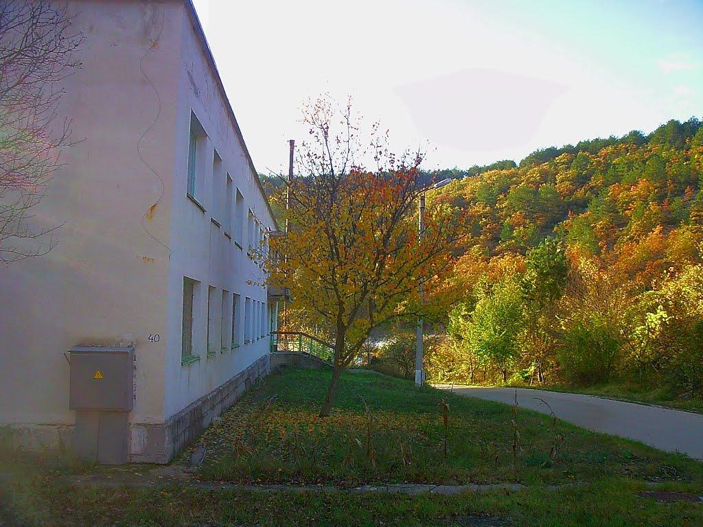 Голубинка з panoramio.com - Golubynka