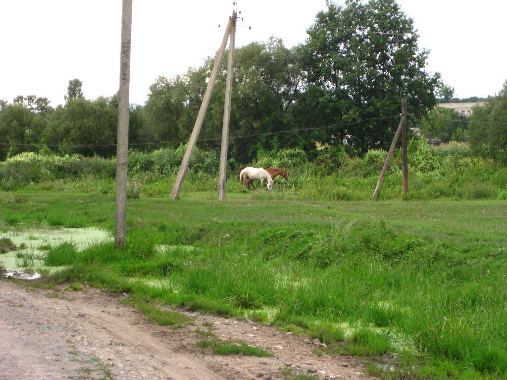 Уладівка з panoramio.com - Уладівка