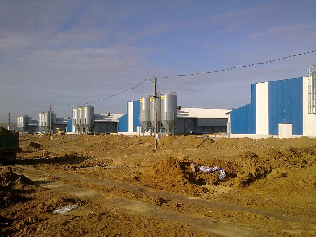 Східне з panoramio.com - Сходное