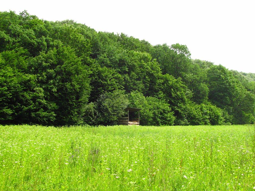 Маркова з panoramio.com - Маркова