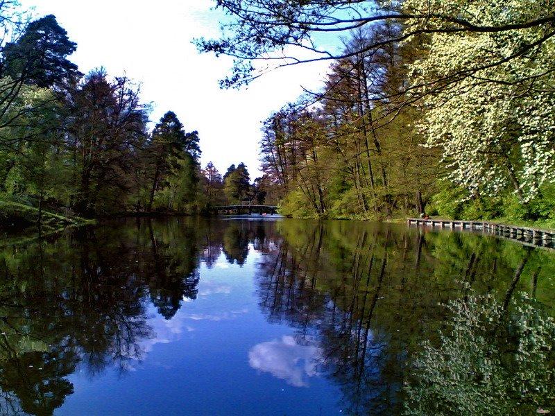 Горенка з panoramio.com - Горенка