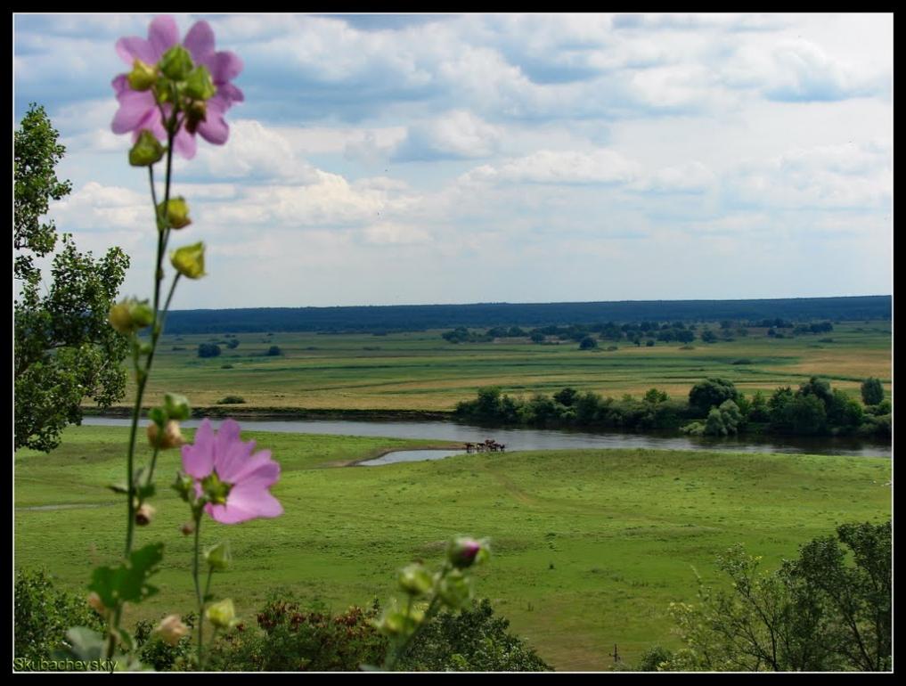 Мезин з panoramio.com - Мезин