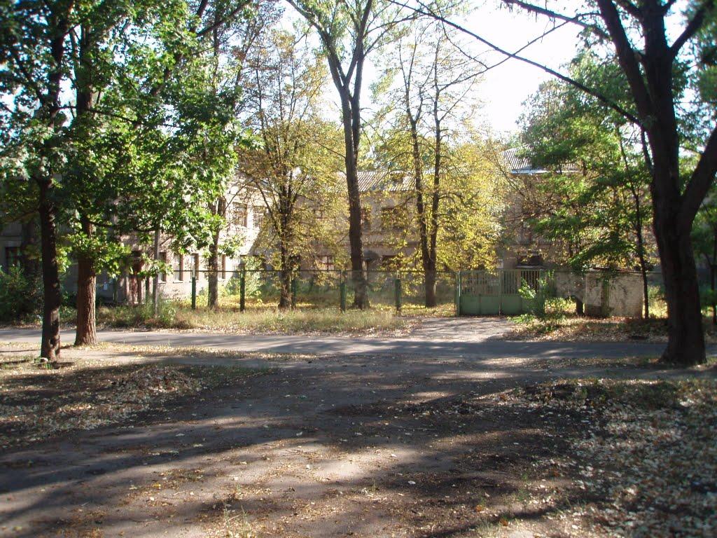 Логачівка з panoramio.com - Логачевка