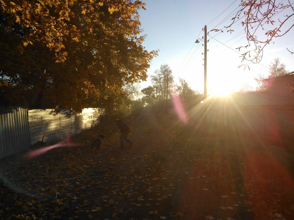 Покотилівка з panoramio.com - Покотиловка