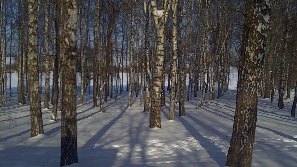 Вишневе з panoramio.com - Вишневе