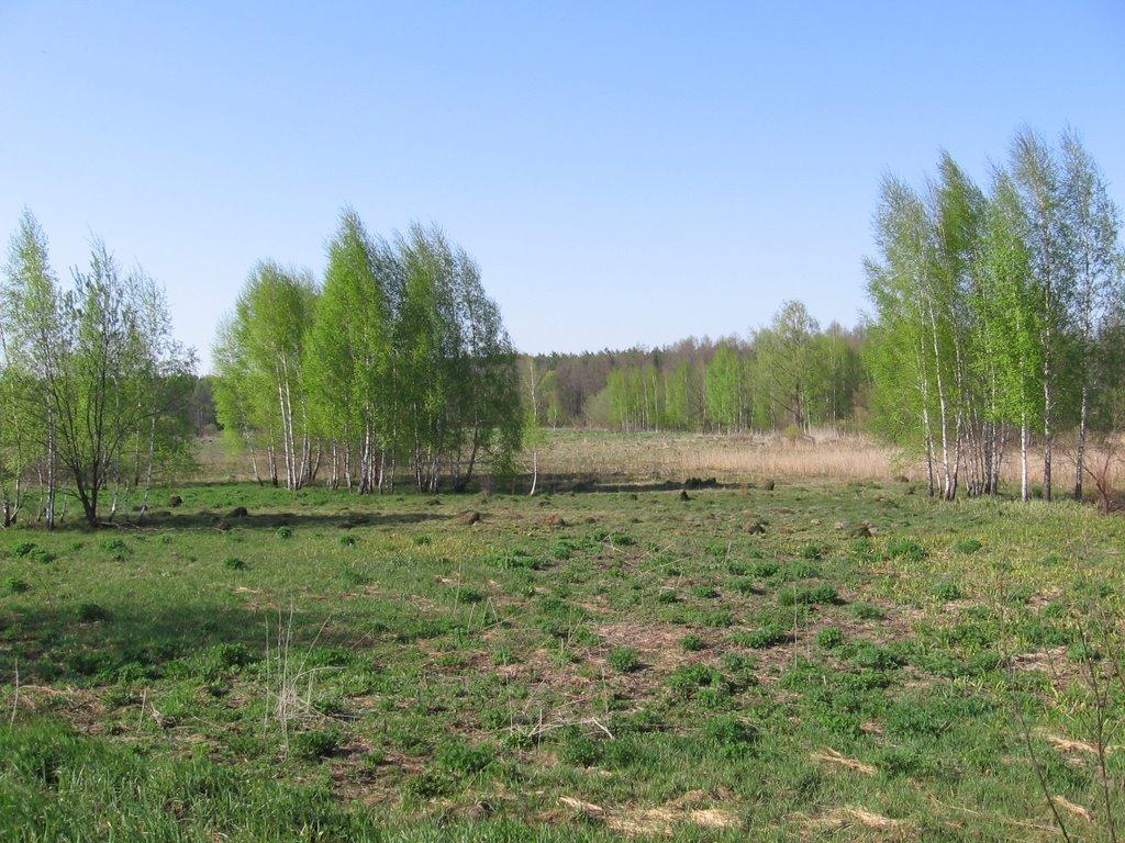 Ракужа з panoramio.com - Ракужа