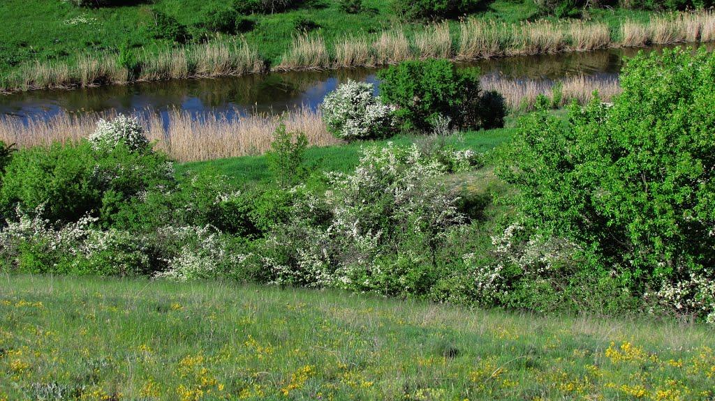 Городуватка з panoramio.com - Городуватка