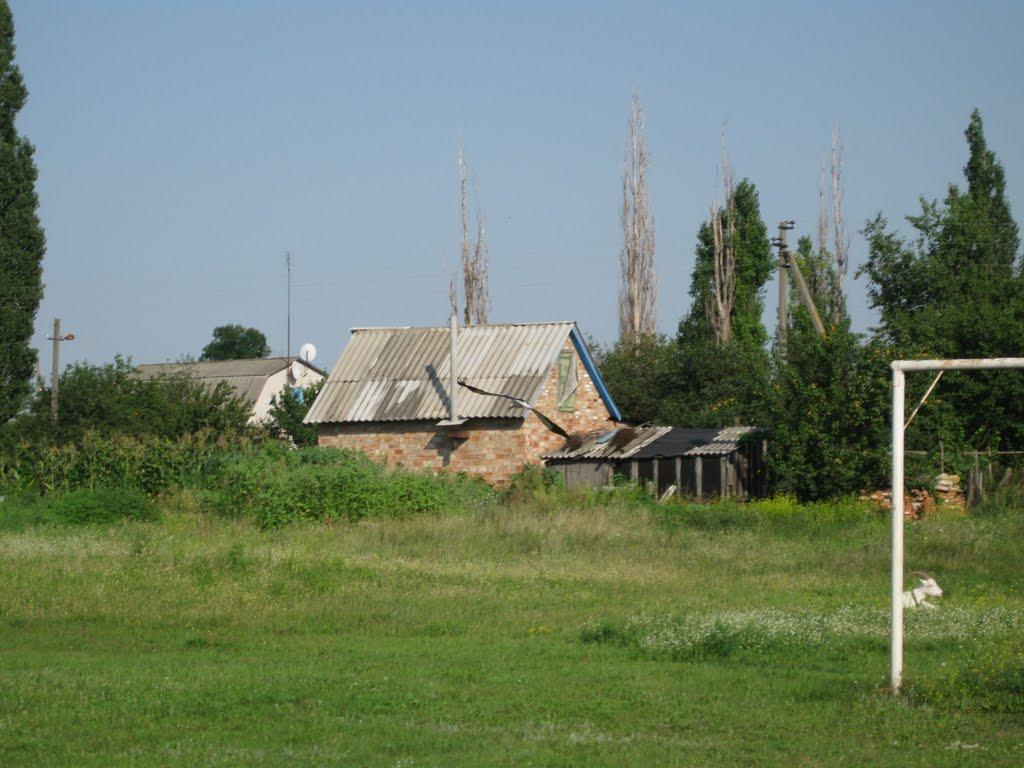 Озера з panoramio.com - Озера