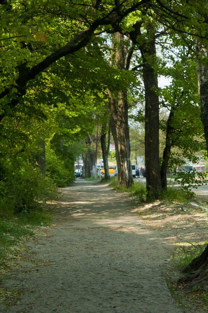 Старі Кодаки з panoramio.com (ч.2) - Старые Кодаки