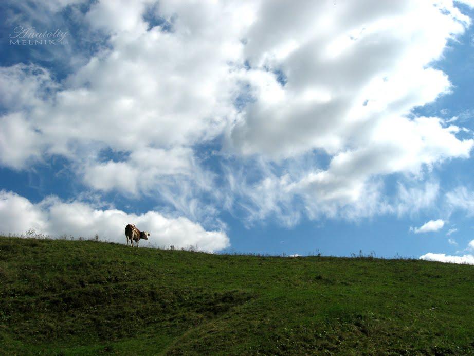 Куманівці з panoramio.com - Кумановцы