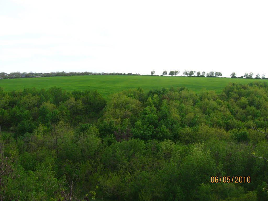 Котовськ з panoramio.com - Kotovsk