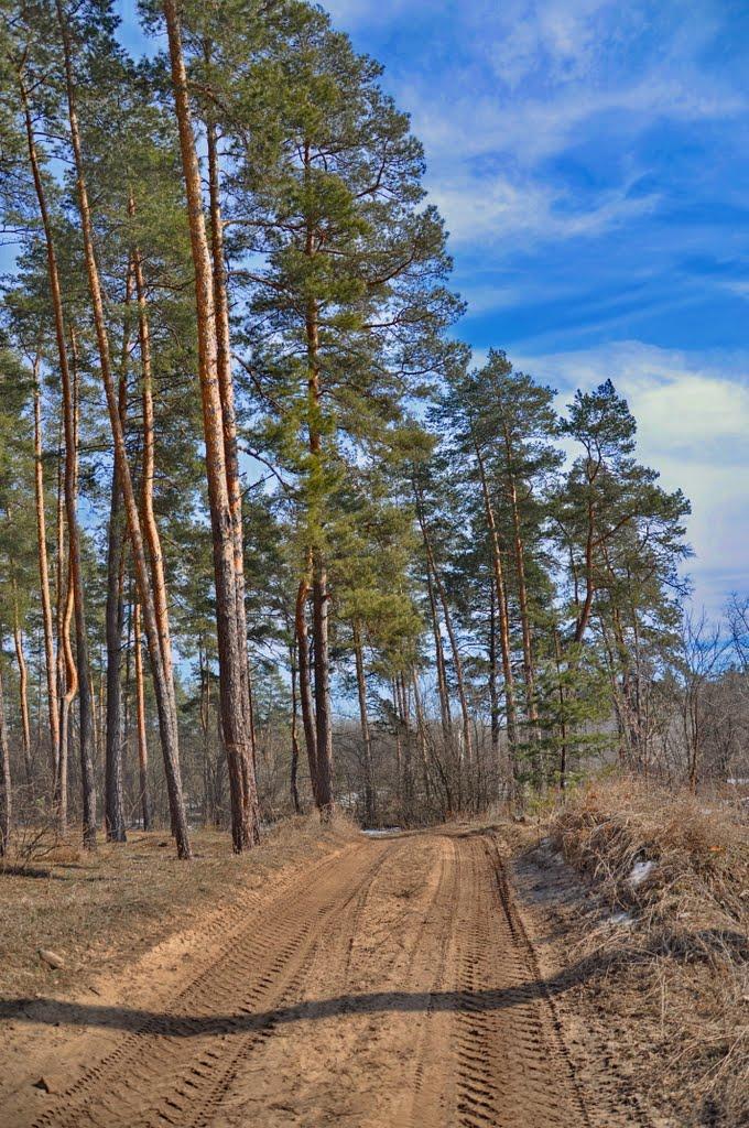 Білогорівка з panoramio.com - Белогоровка