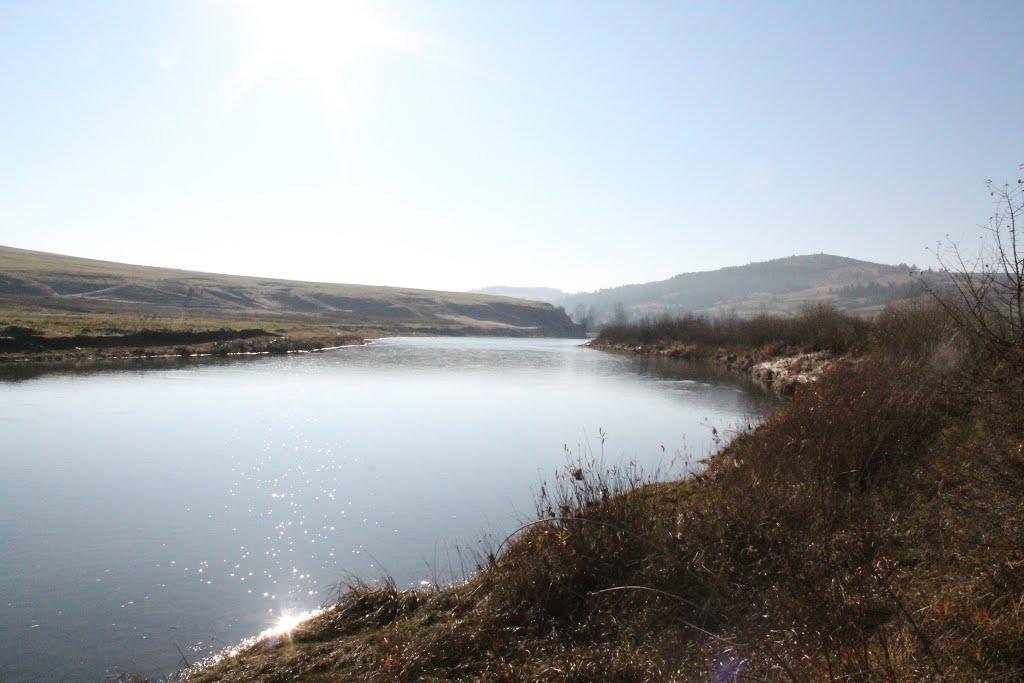 Комарники з panoramio.com - Комарники