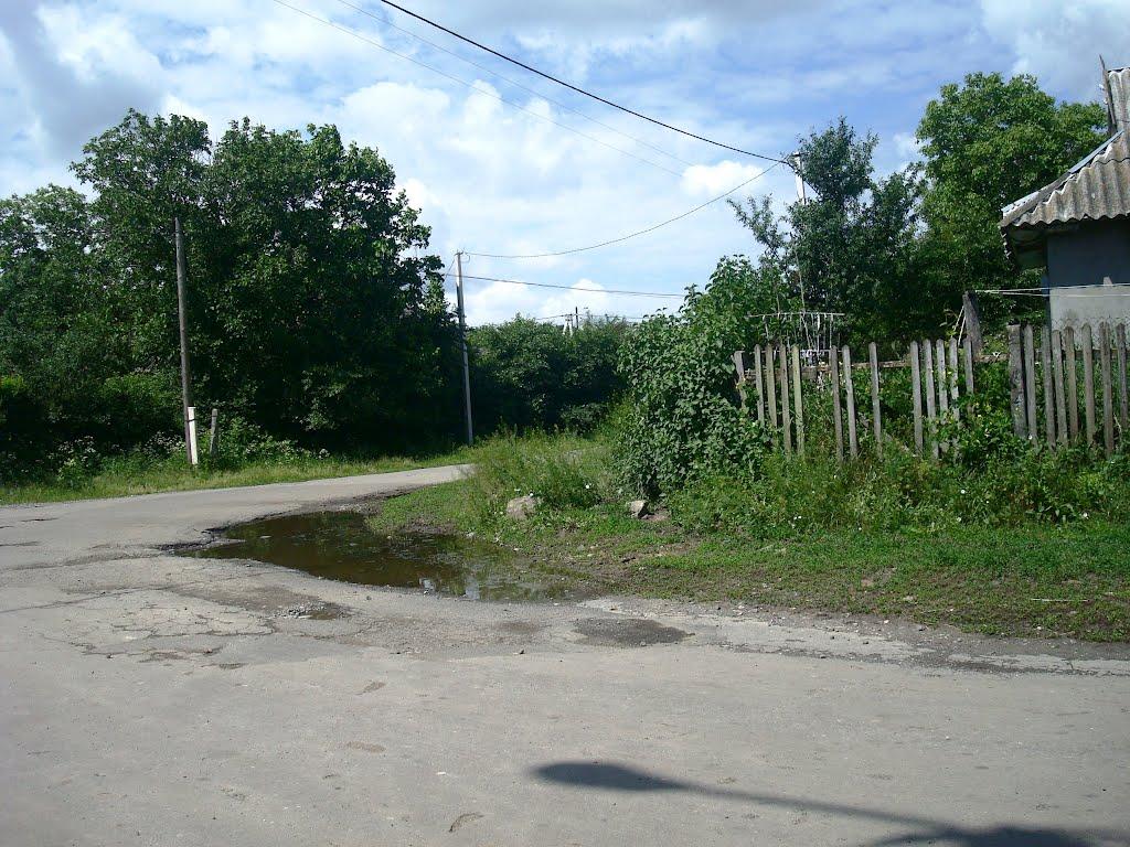 Давидківці з panoramio.com - Давидківці